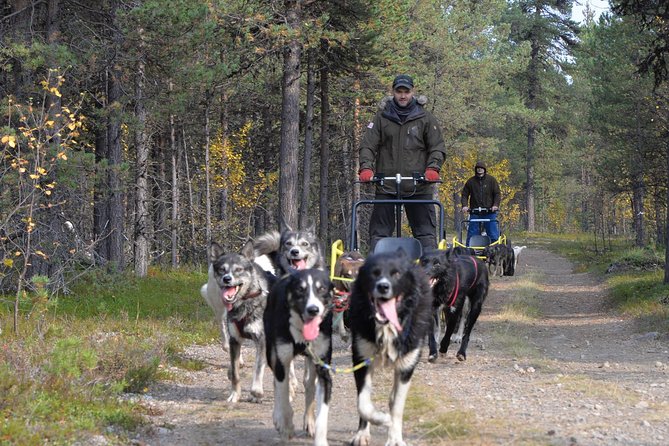 husky cart tour