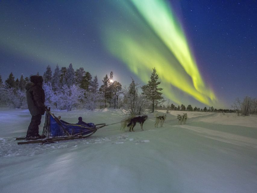Dog sledding tours under the northern lights in Kiruna, Sweden.