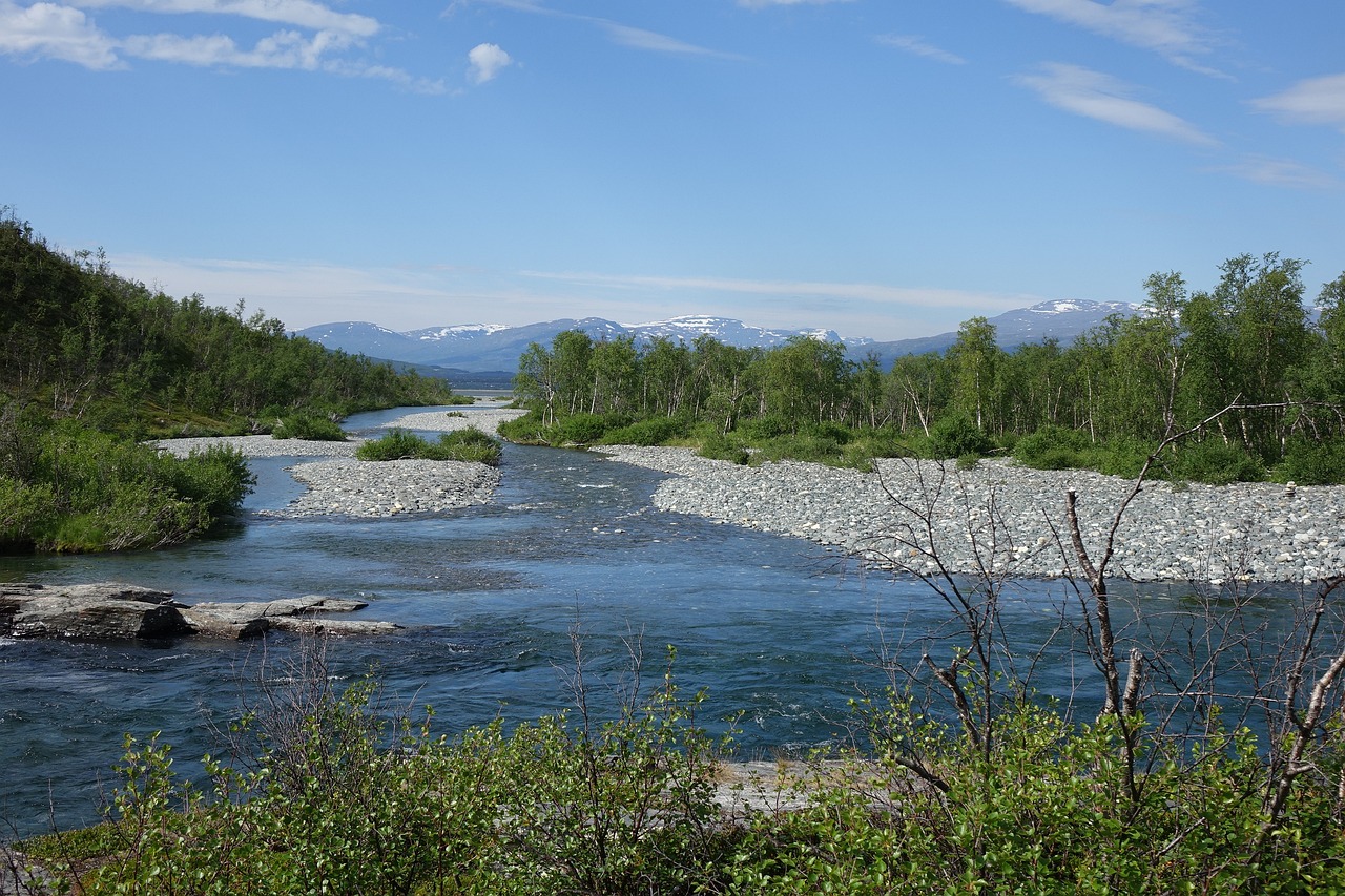 Abisko national park