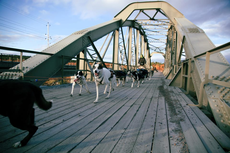 Autumn Dog Sledding